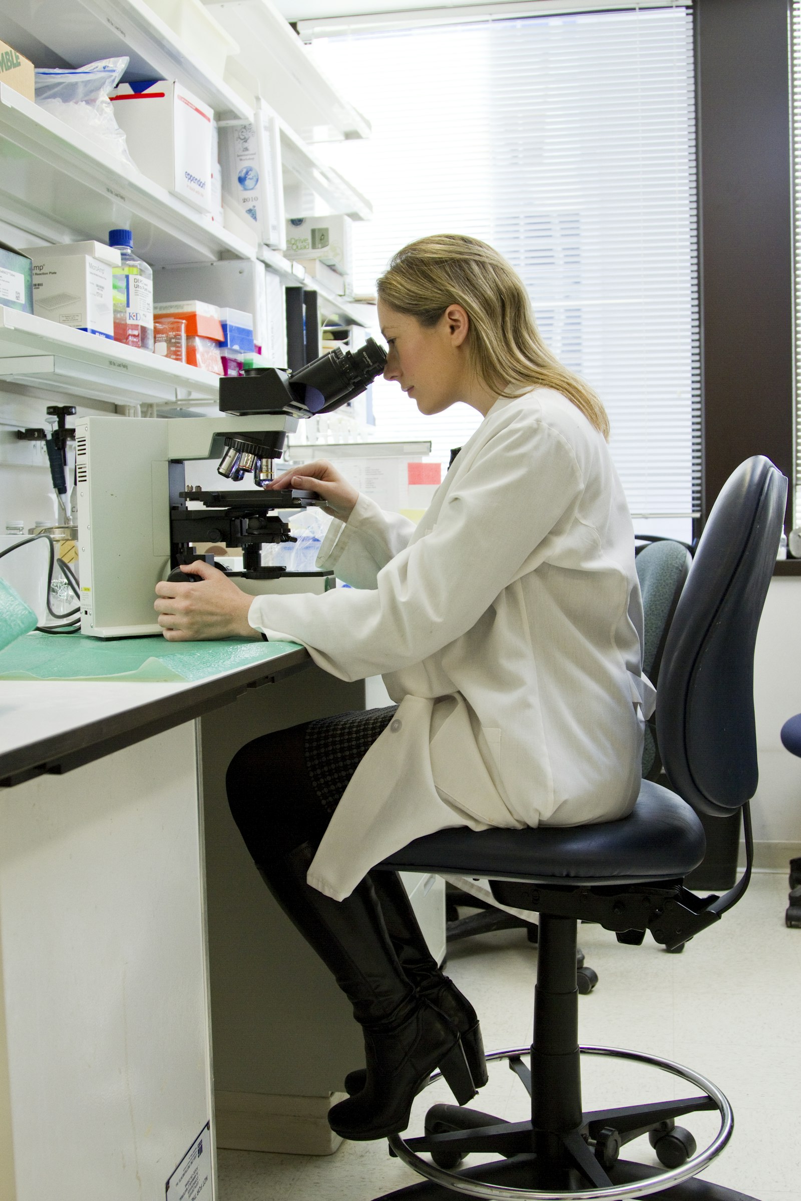 Exames laboratoriais veterinários em Sete Lagoas