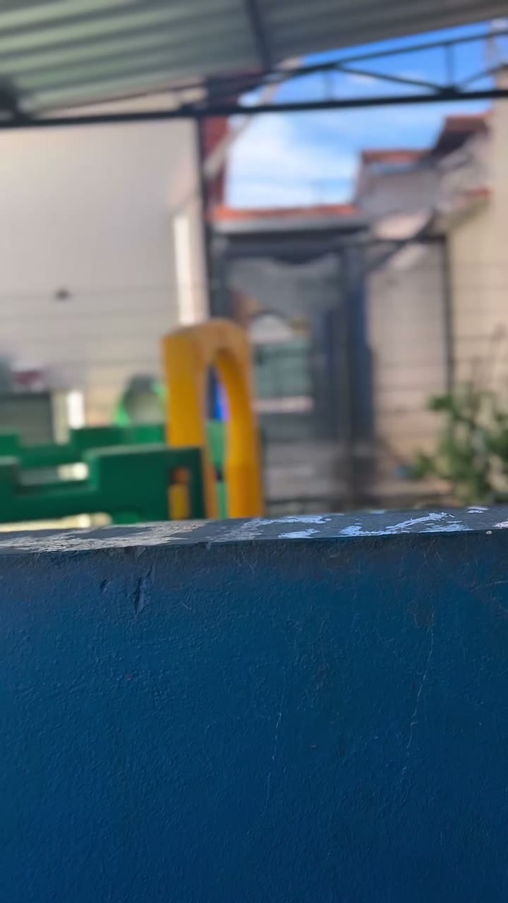 Como funciona o banho e tosa na Cat & Dog